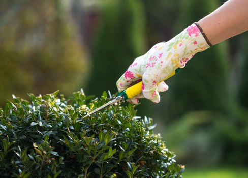 Garden maintenance work in a Sevenkings front garden