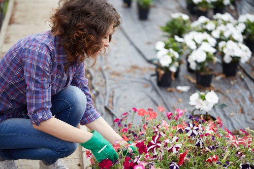 Landscape team working ethically with compliance focus