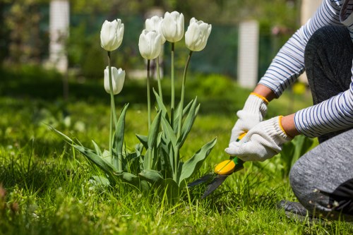 Sevenkings landscapers planning a garden transformation