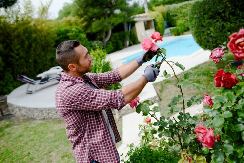 Landscape gardeners designing a front garden in Sevenkings