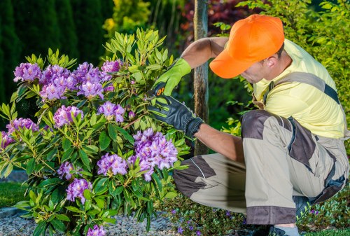 Professional landscapers Sevenkings completing a secure site clearance