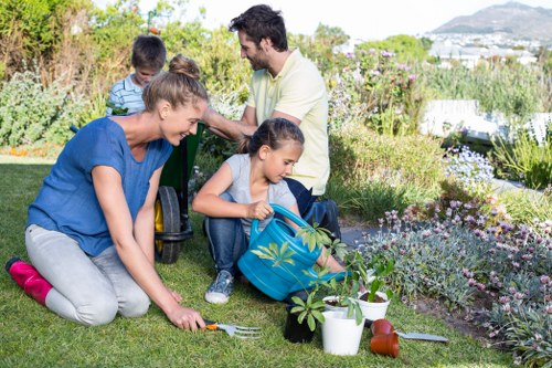 Professional garden clearance Sevenkings service clearing branches and debris