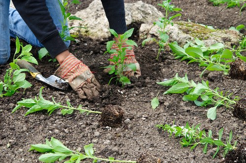 Accessibility request support for Sevenkings landscaping users