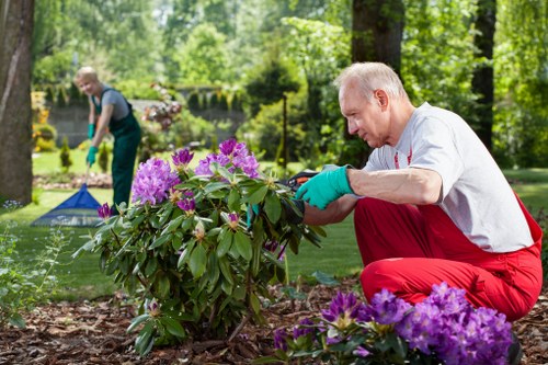 Summary of cookie types and user control for Landscapers Sevenkings