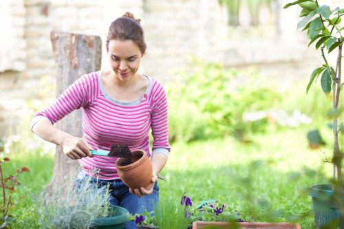 Planting services in Sevenkings improving curb appeal and greenery