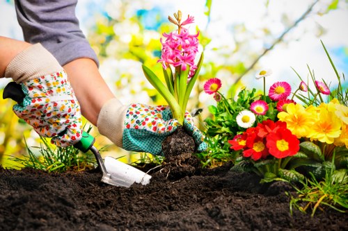 Keyboard navigation support for Landscapers Sevenkings
