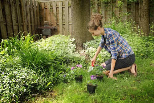 Inclusive digital access for Landscapers Sevenkings