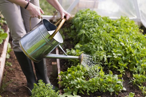 Professional lawn and hedge care in Sevenkings