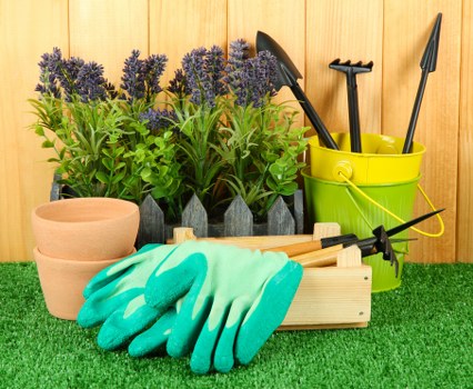Local planting services in Sevenkings for healthy outdoor spaces