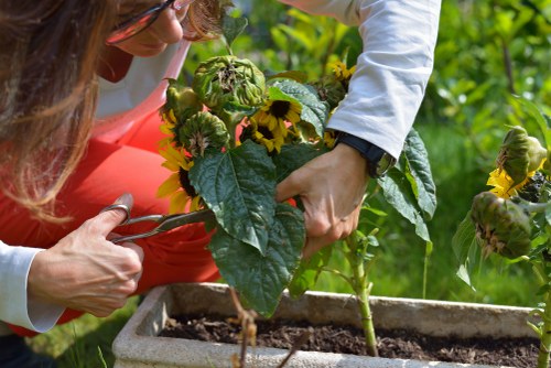 Landscapers Sevenkings payment security and accepted methods section